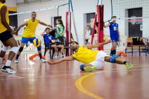 Volley