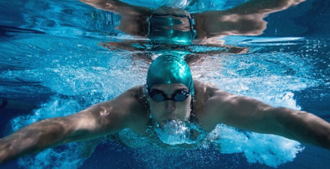 Natation